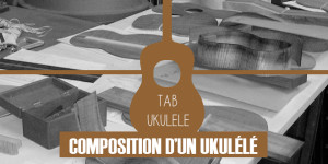 composition-ukulele-debutant