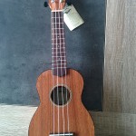 wiki-ukulele-debutant